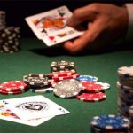 揭秘:白菜论坛项目评测报告合集全解析-白菜网大全-白菜网社区-高质量白菜论坛