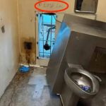 美国新闻:美国10囚犯越狱-白菜网大全-白菜网社区-高质量白菜论坛