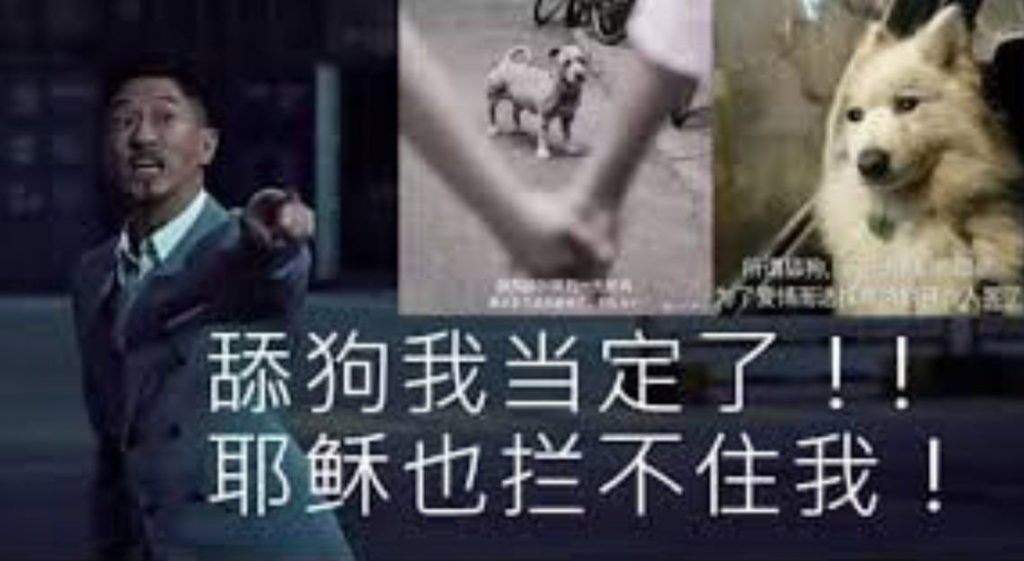网友投稿: 不堪回首的往事-白菜网大全-白菜网社区-高质量白菜论坛