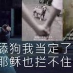 网友投稿: 不堪回首的往事-白菜网大全-白菜网社区-高质量白菜论坛