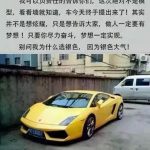 天大地大,出国打拼,何以为家?-白菜网大全-白菜网社区-高质量白菜论坛